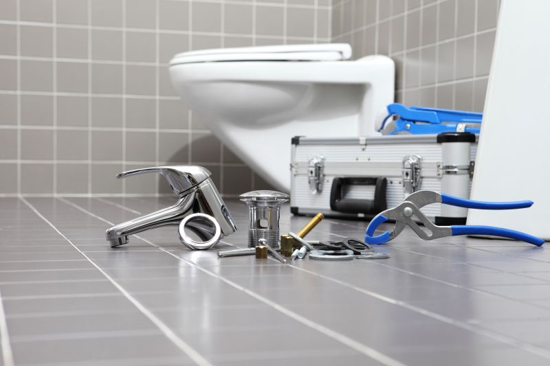 Top Bathroom Remodeling Companies in Ankeny, IA